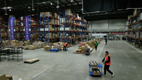 强信心 开新局 跨境电商加速跑，直击上海港进出口商品中转仓的技术进出口新篇