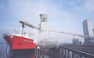 出口外贸软件选择不止千万，汇信给你靠谱的答案